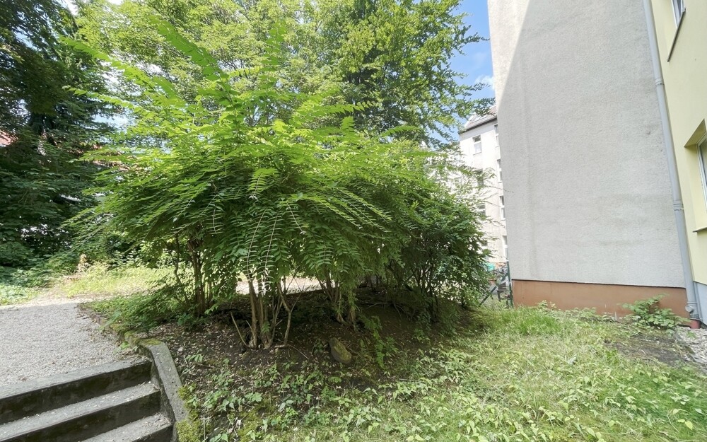 Hinterhof