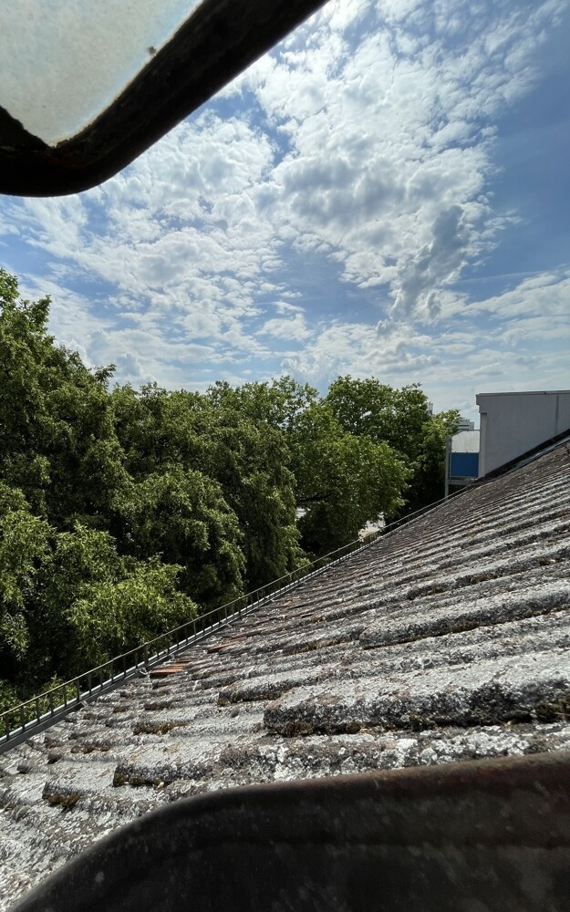 Aussicht vorne