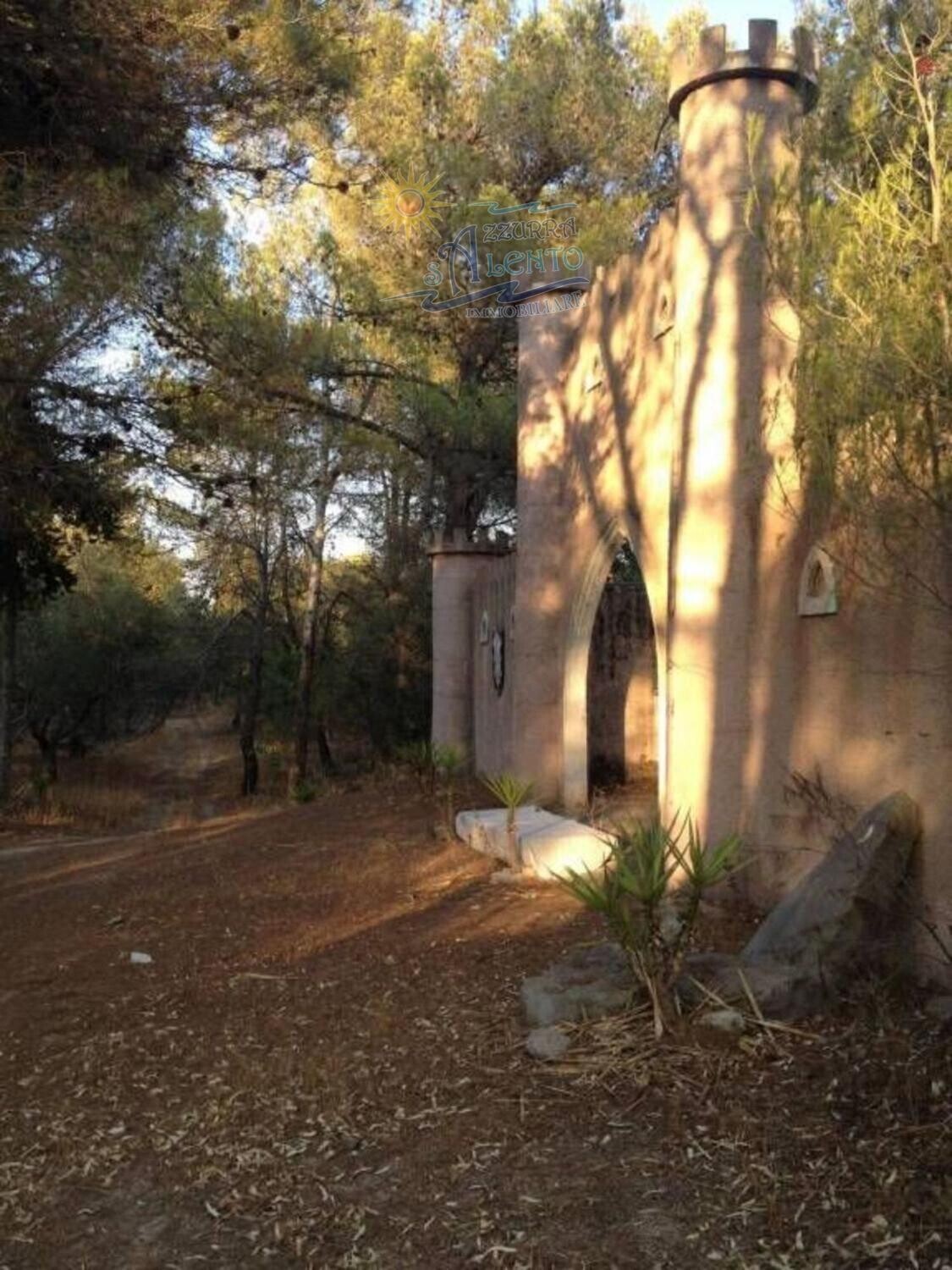 Immagine della proprietà