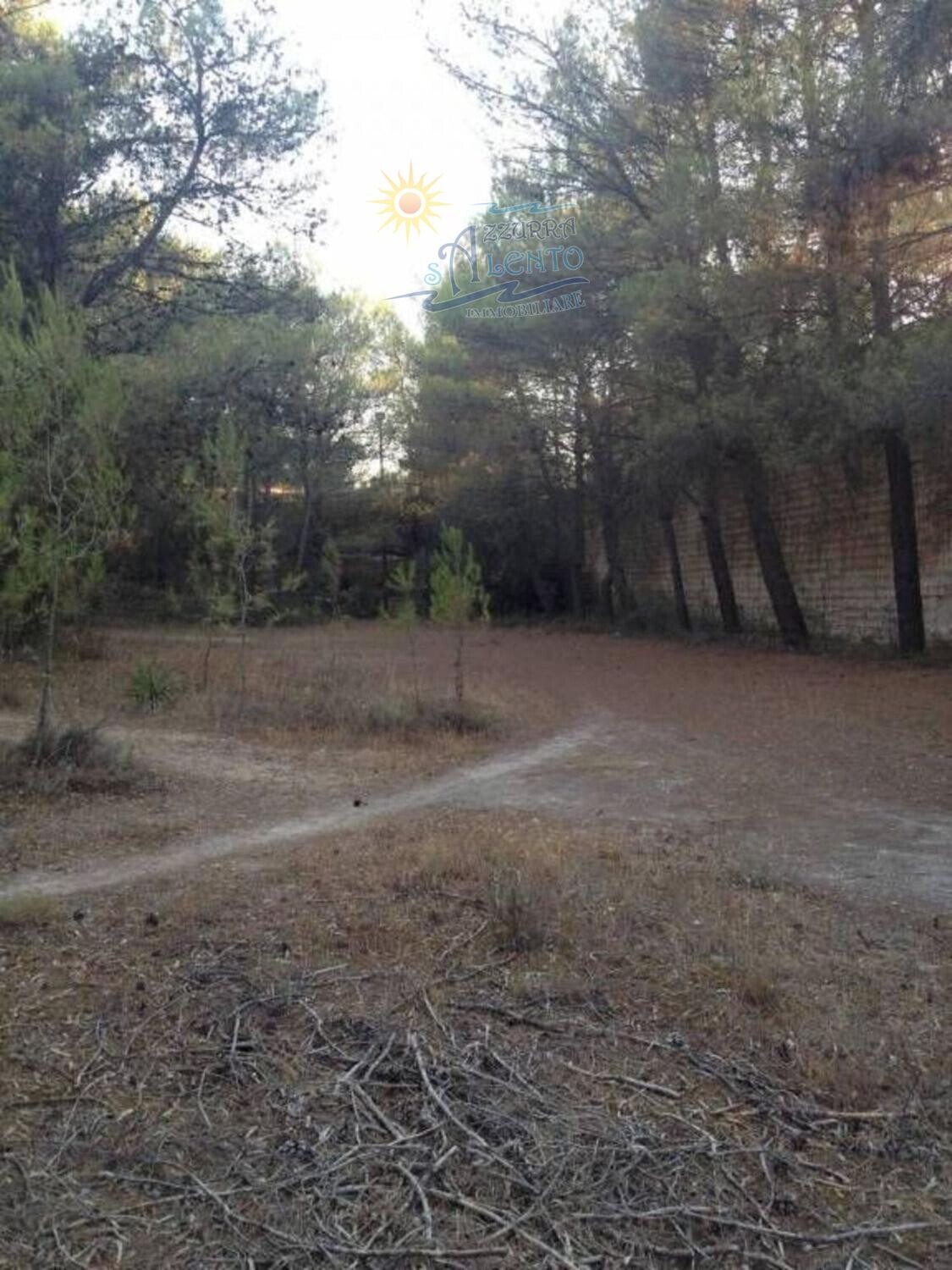 Immagine della proprietà