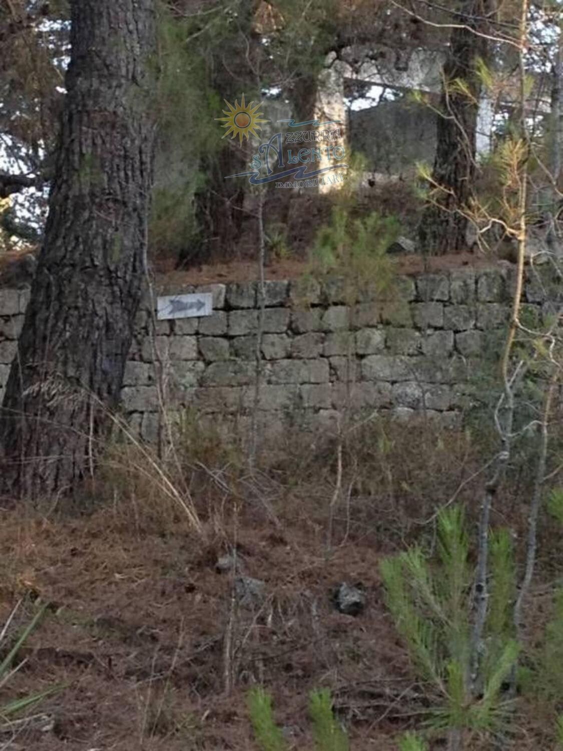 Immagine della proprietà