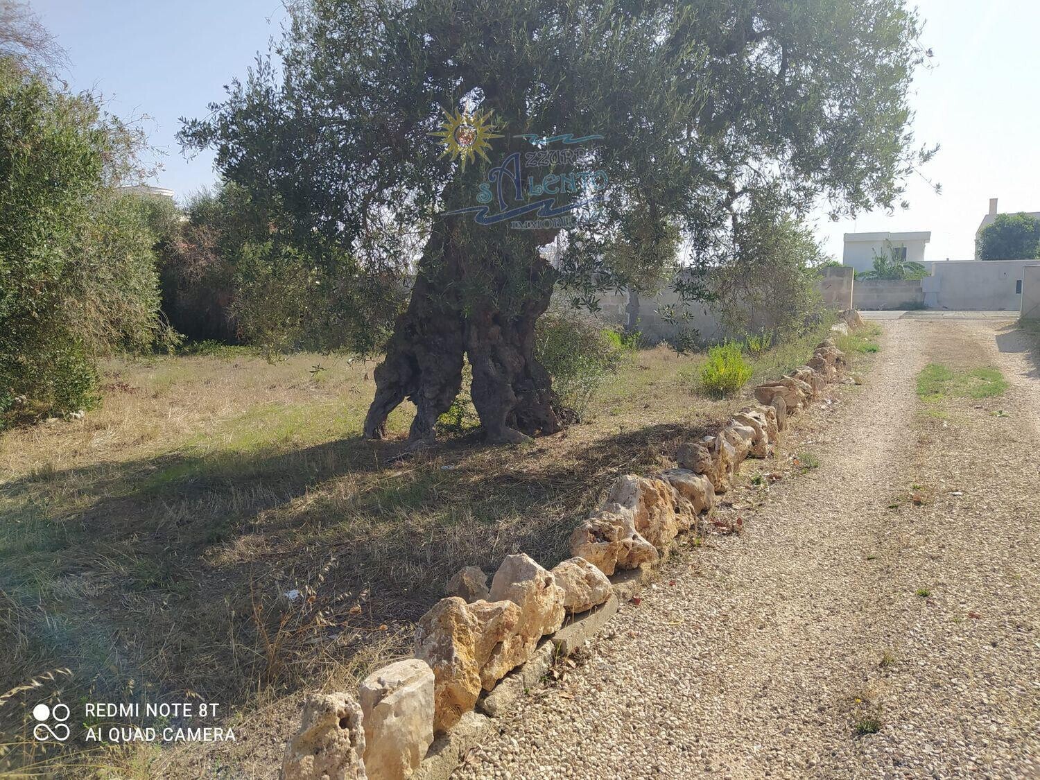 Immagine della proprietà
