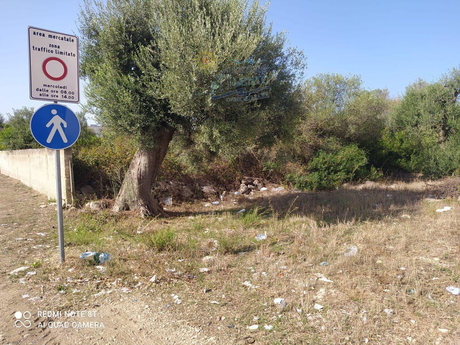 Immagine della proprietà