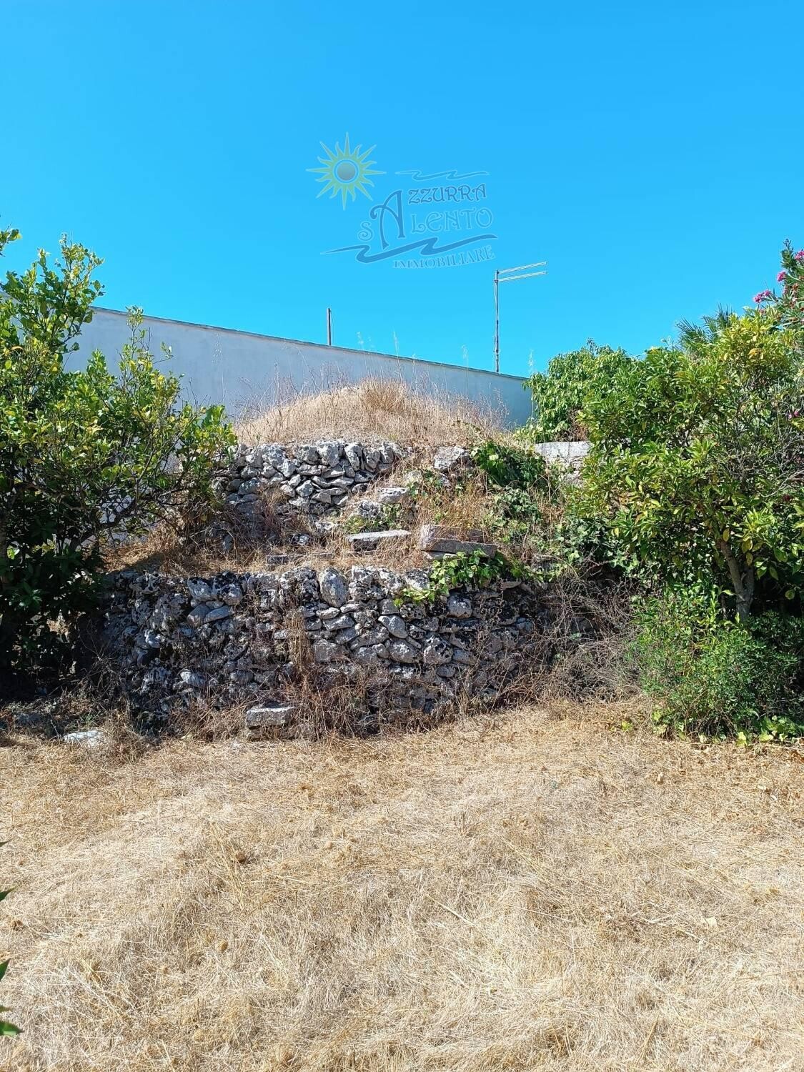 Immagine della proprietà