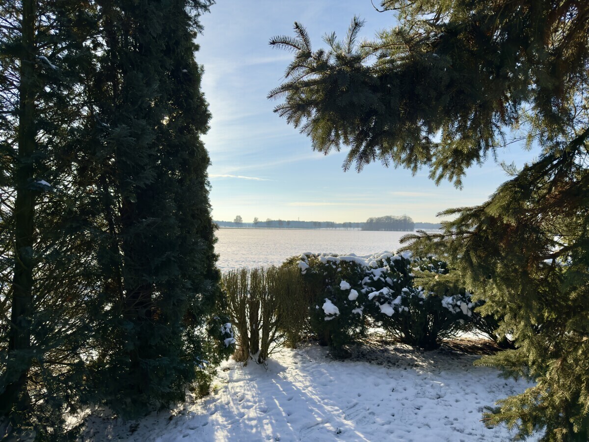 Immobilienbild
