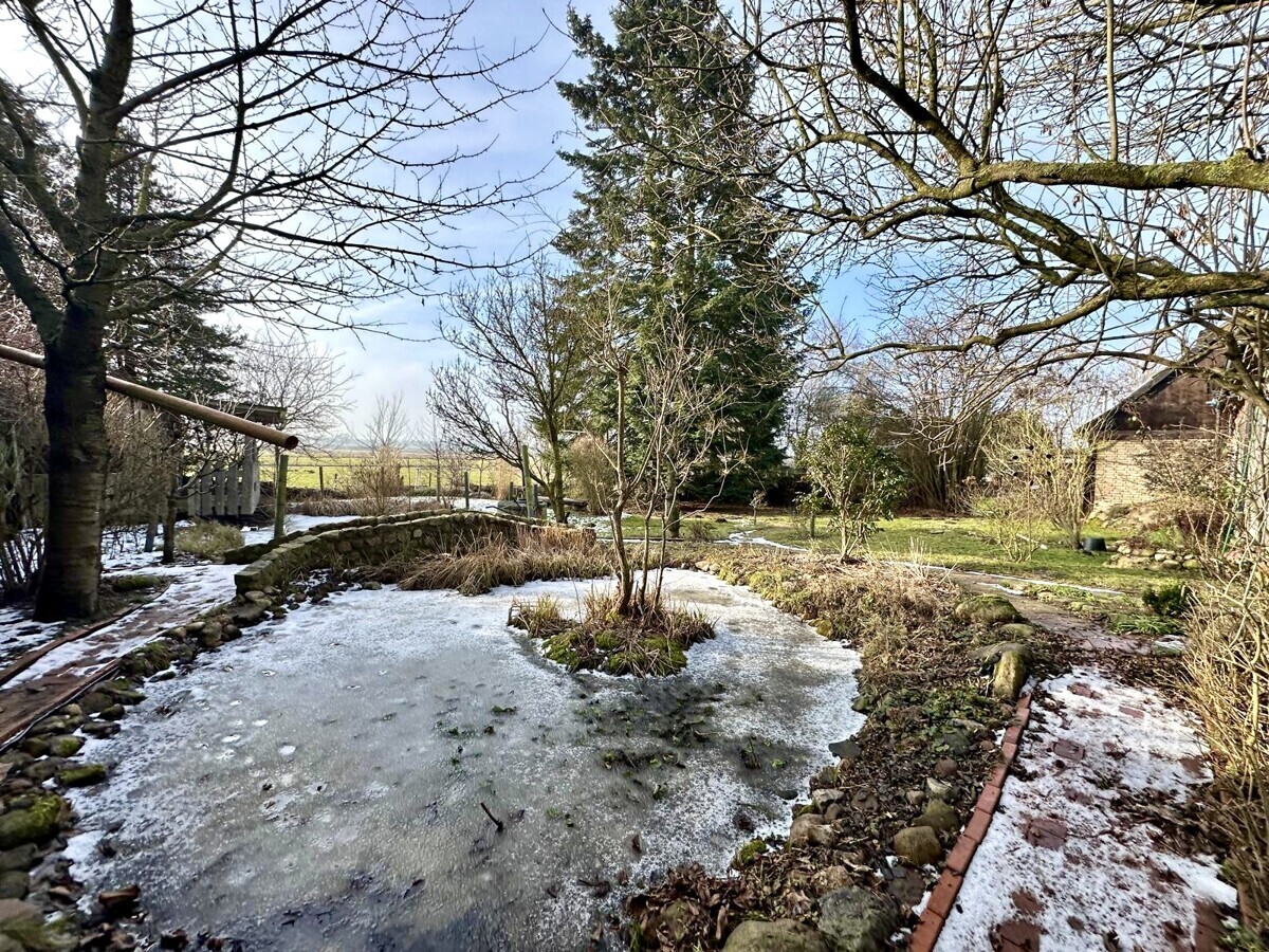 Teich im Garten