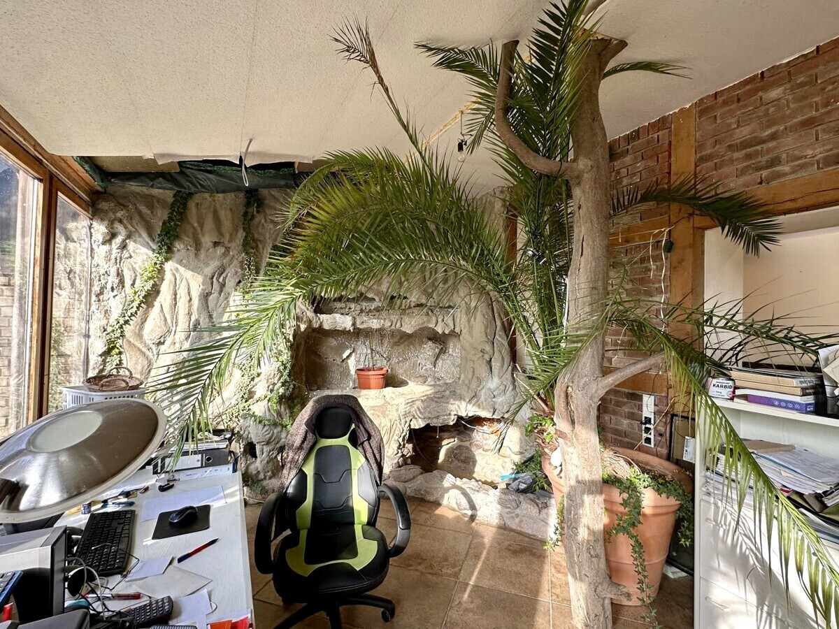 Immobilienbild