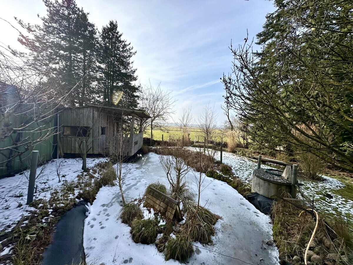 Teich im Garten