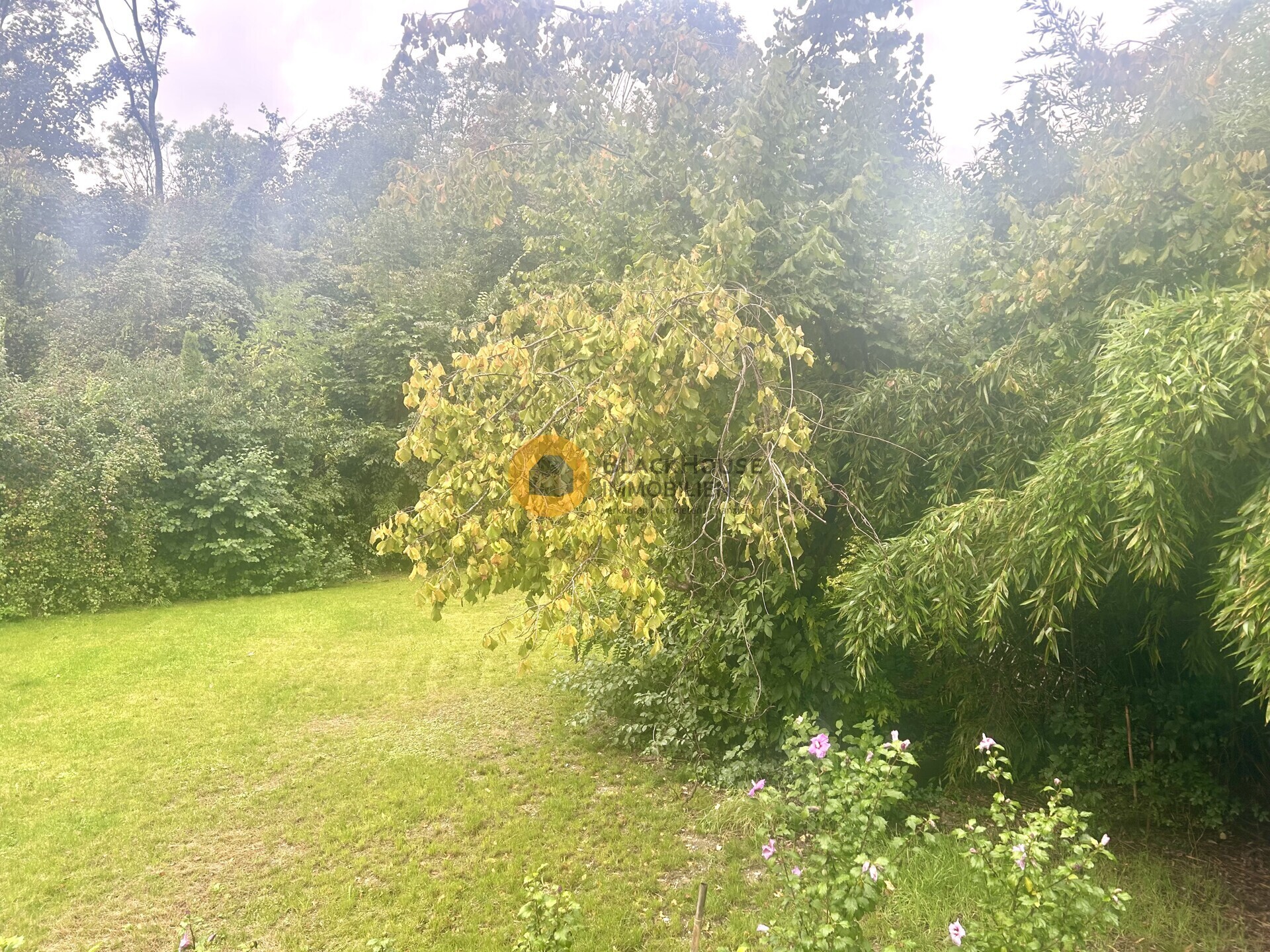 Blick in Garten