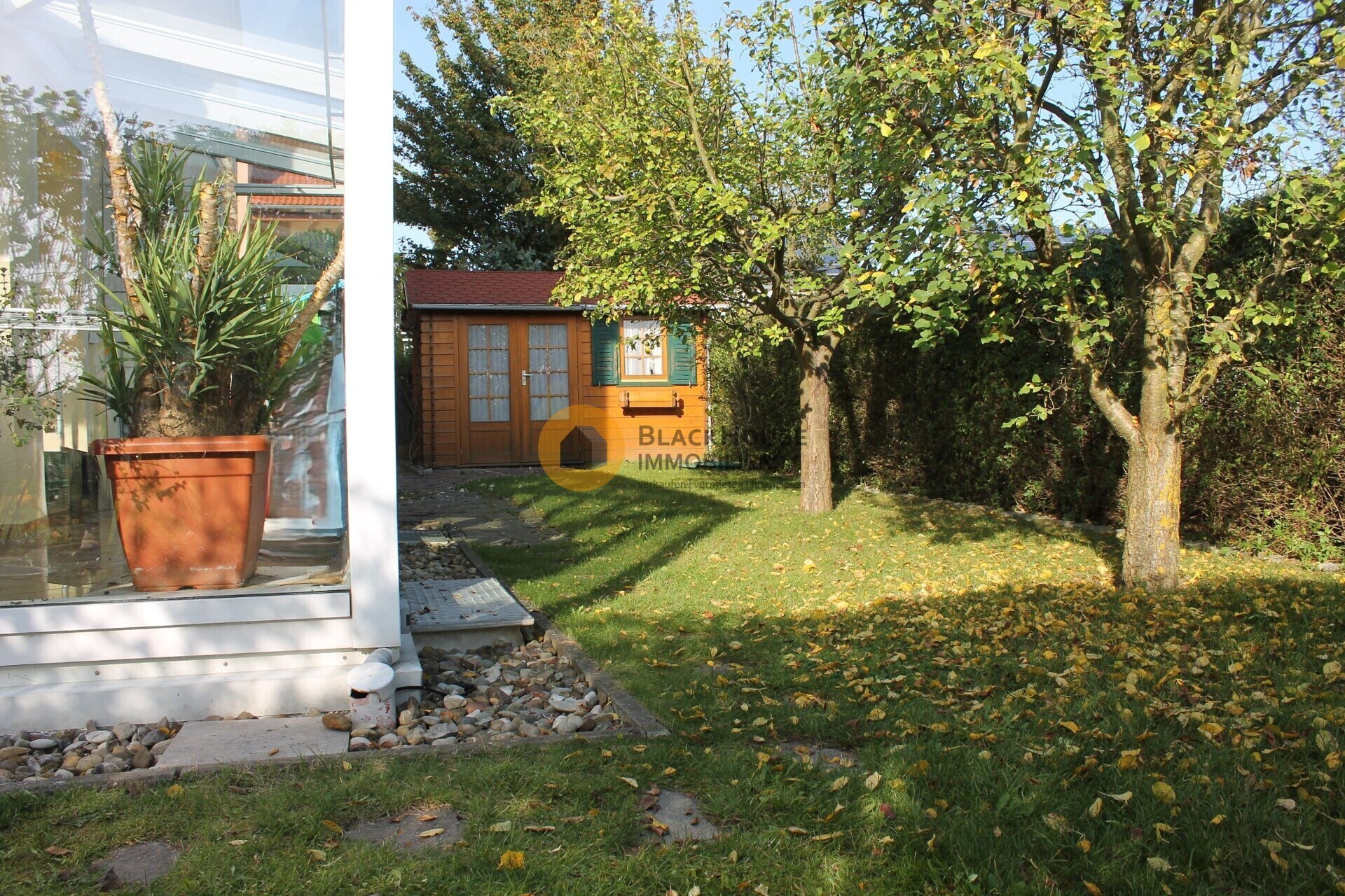 Blick in Garten