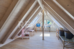 2. DG Studio