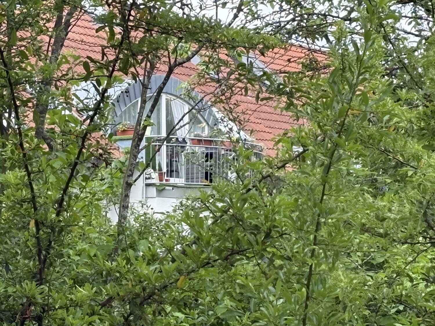 Ansicht