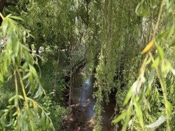 Umgebung