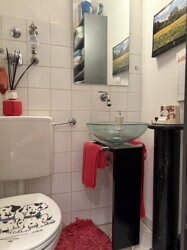 separates WC