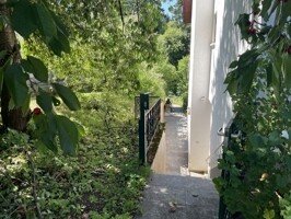 Treppenaufgang zum Hauseingang und Garten