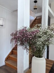 Küche Hauptteil (2)