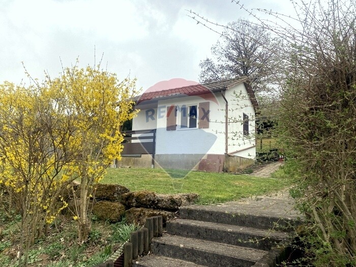 Immobilienbild