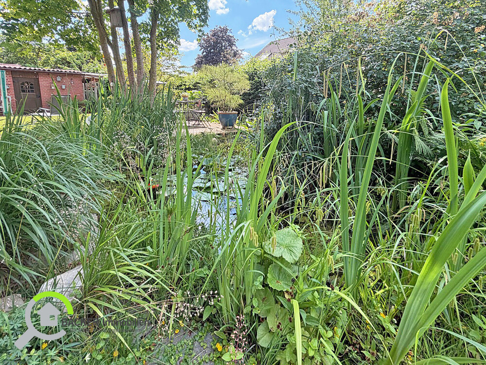 Gartenteich