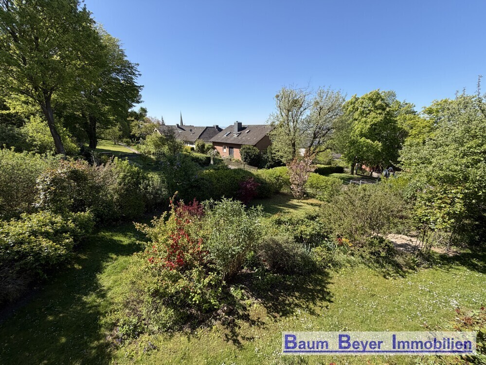 Blick in den Garten