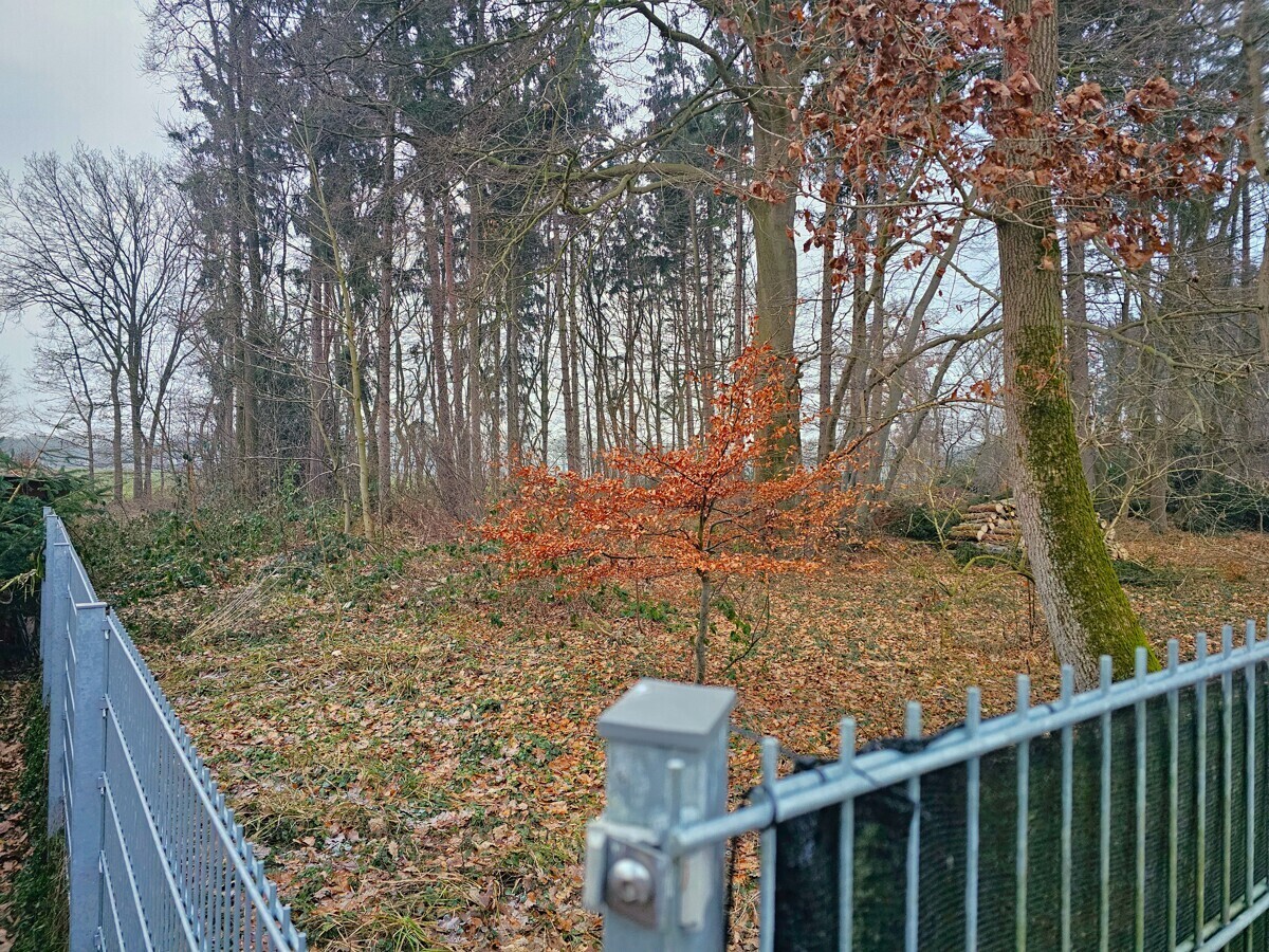 Seitenansicht