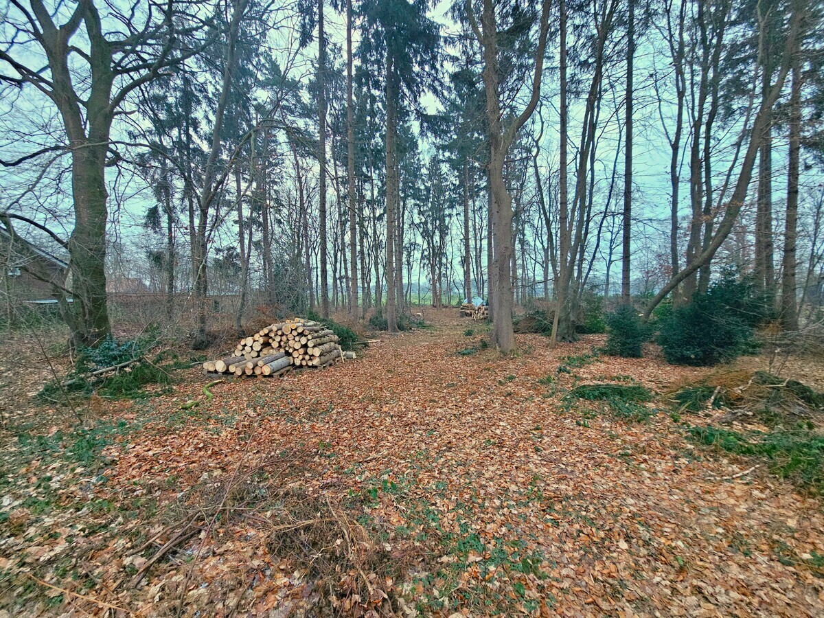 Grundstück