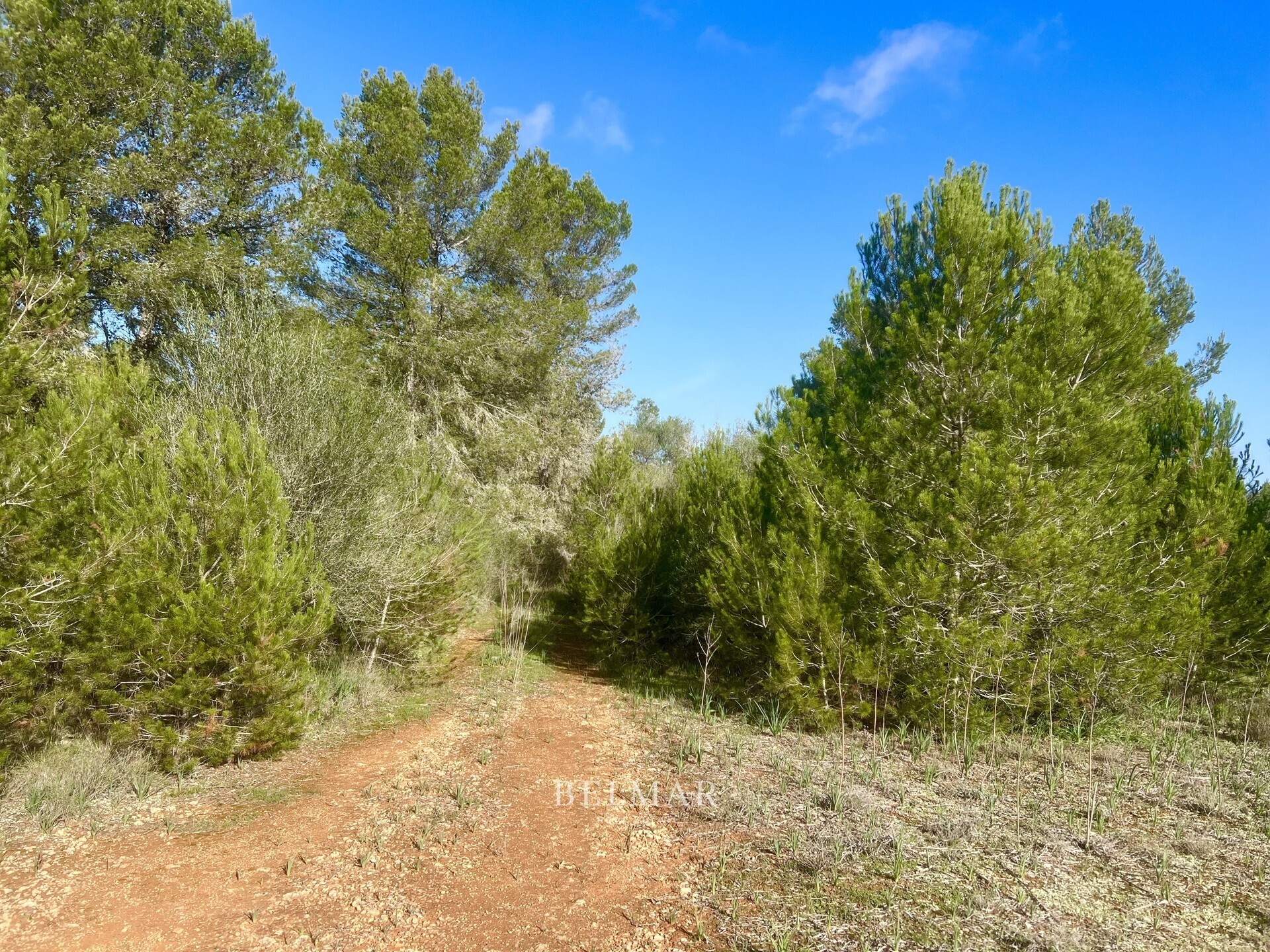 Property picture