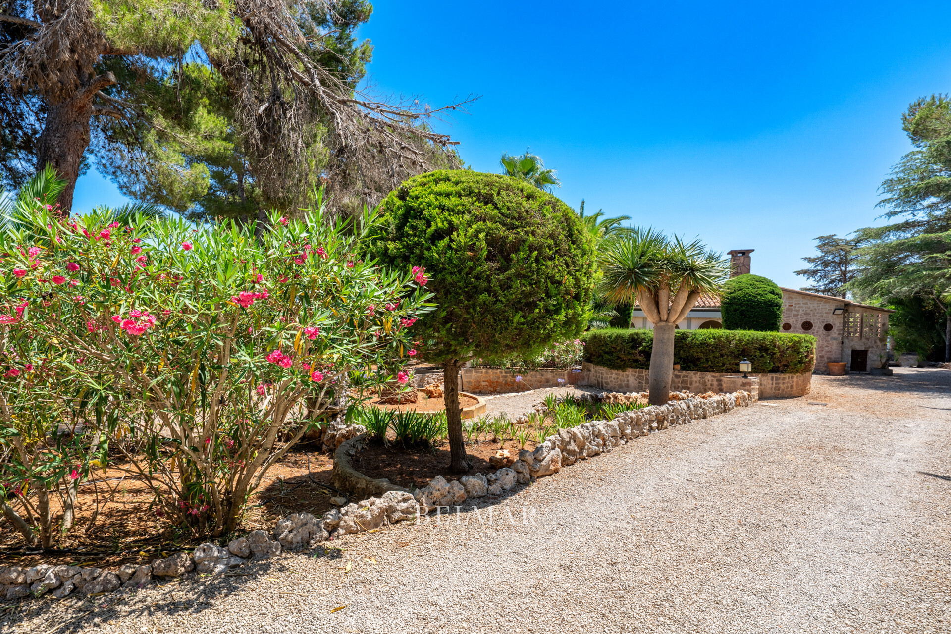 Property picture