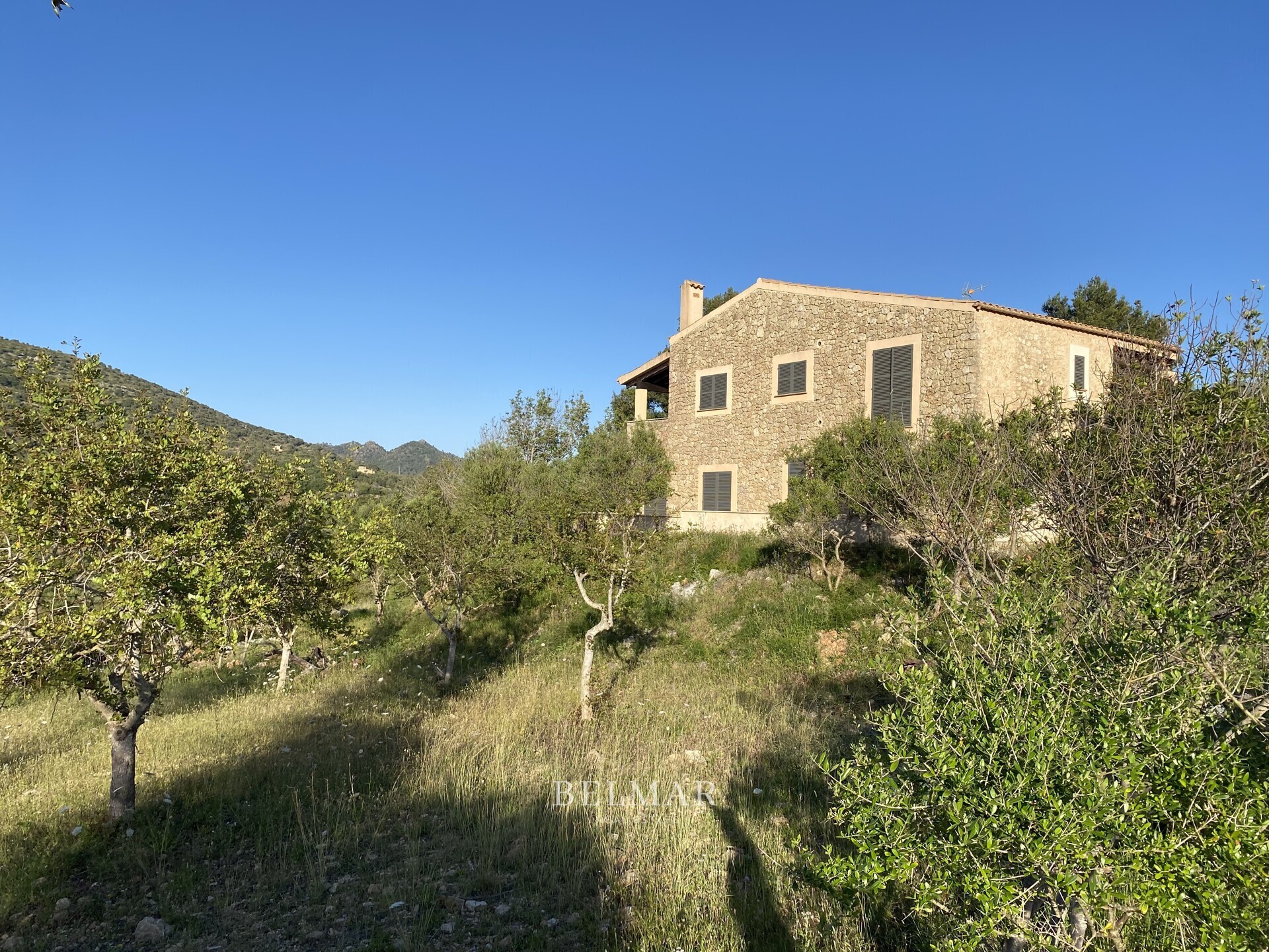 Immobilienbild