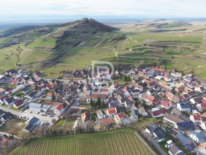 Leben zwischen den Weinbergen im Winzerhof