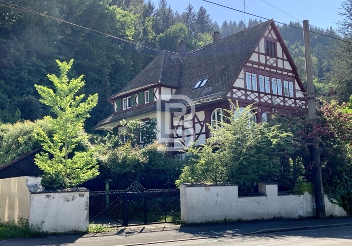 Denkmalgeschützte Villa für Altbauliebhaber