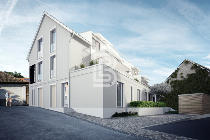 Deine 111 - MFH mit 5 WEH am Kaiserstuhl