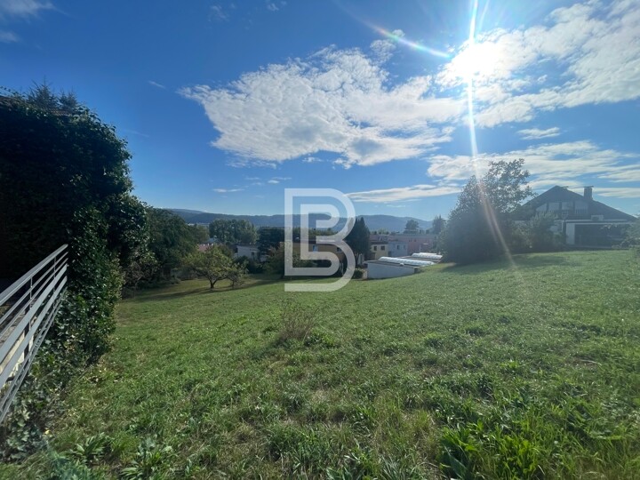 Grundstück mit Blick auf Rhein und Jura