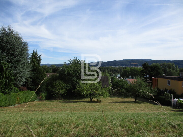 Grundstück mit Blick auf Rhein und Jura