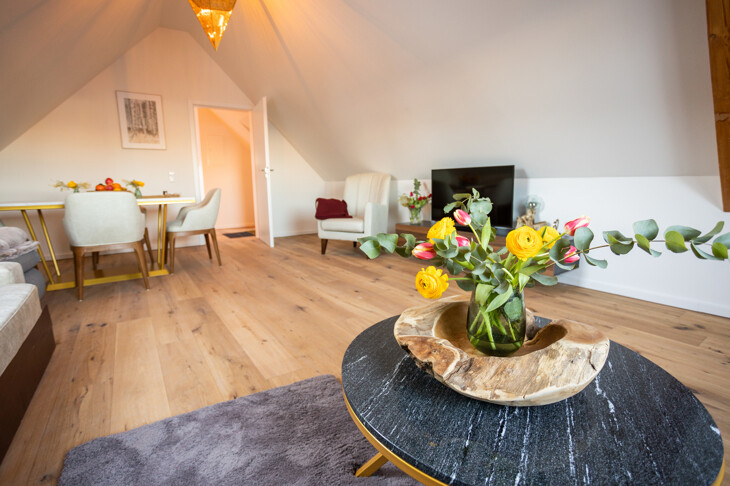 Exklusive (Ferien)-Wohnung - Vogelsang