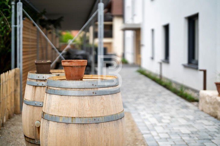 Modern Wohnen mit Blick auf die Weinreben