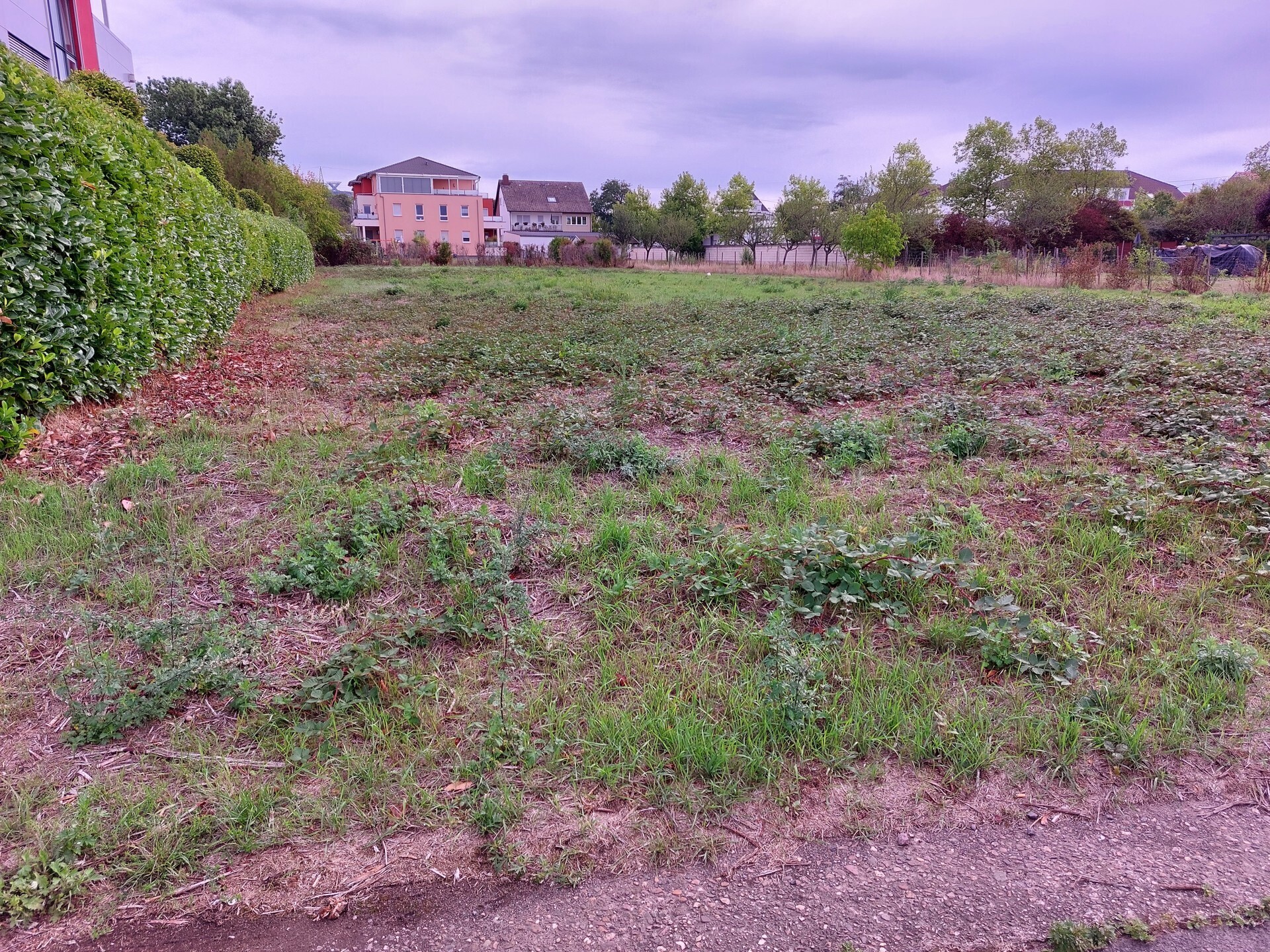 Immobilienbild
