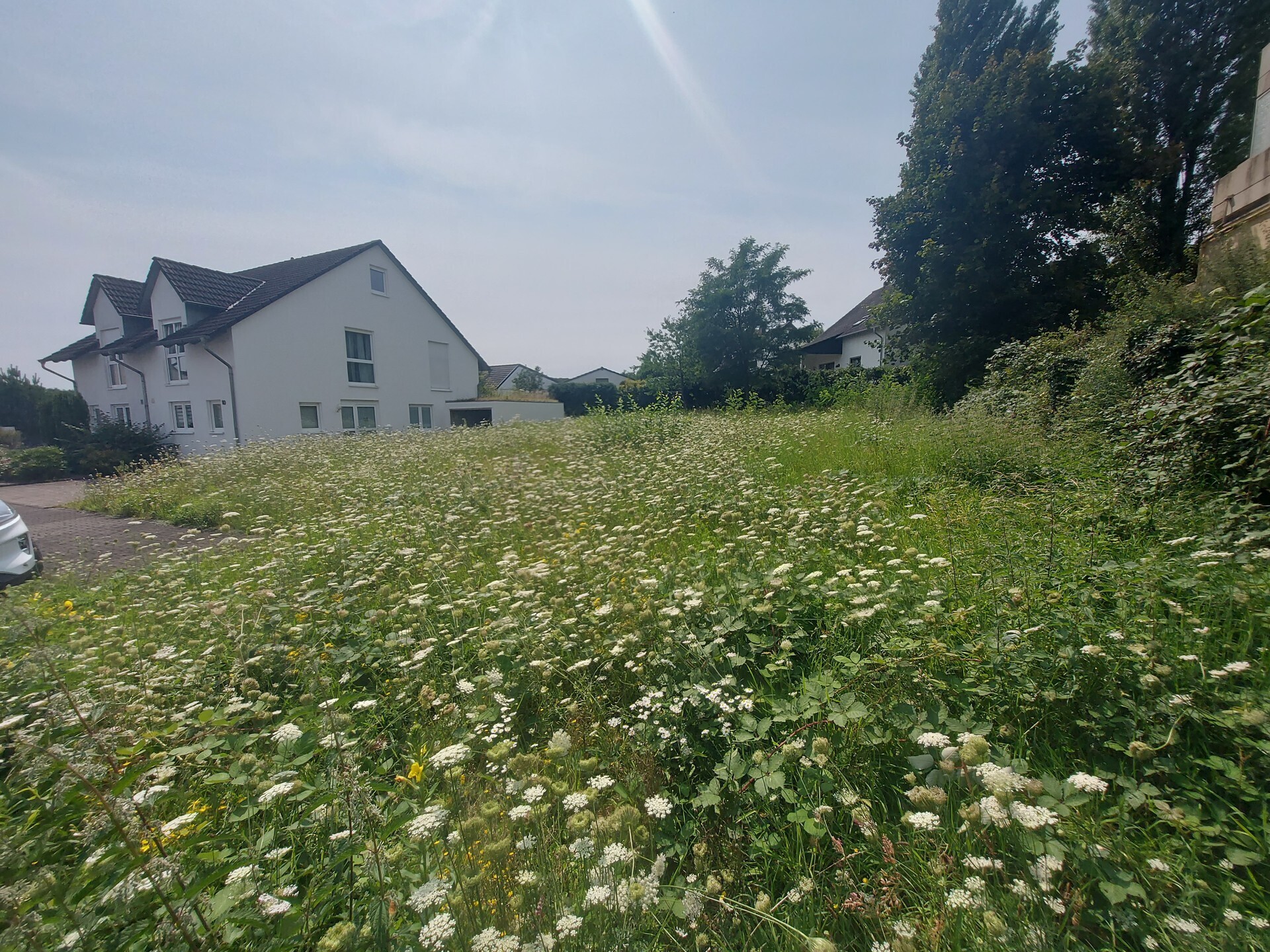 Immobilienbild