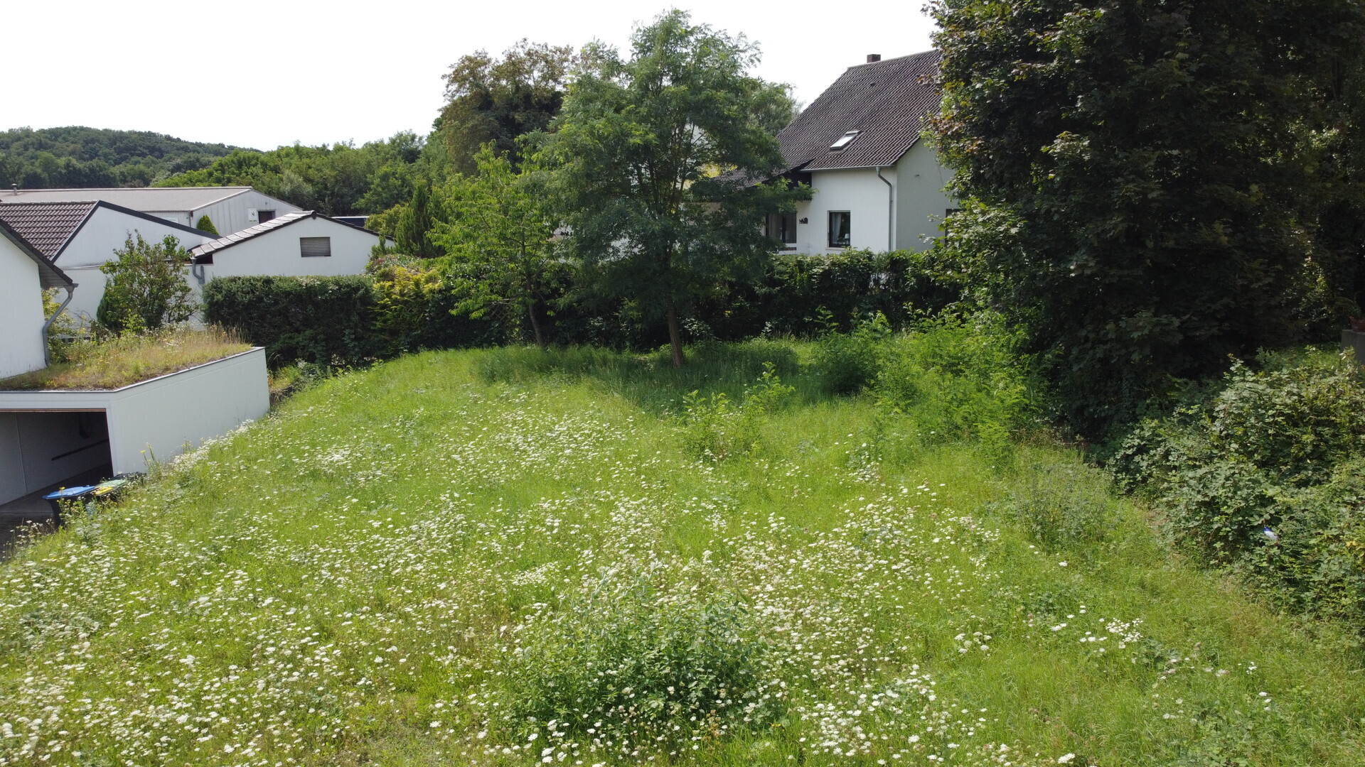 Immobilienbild