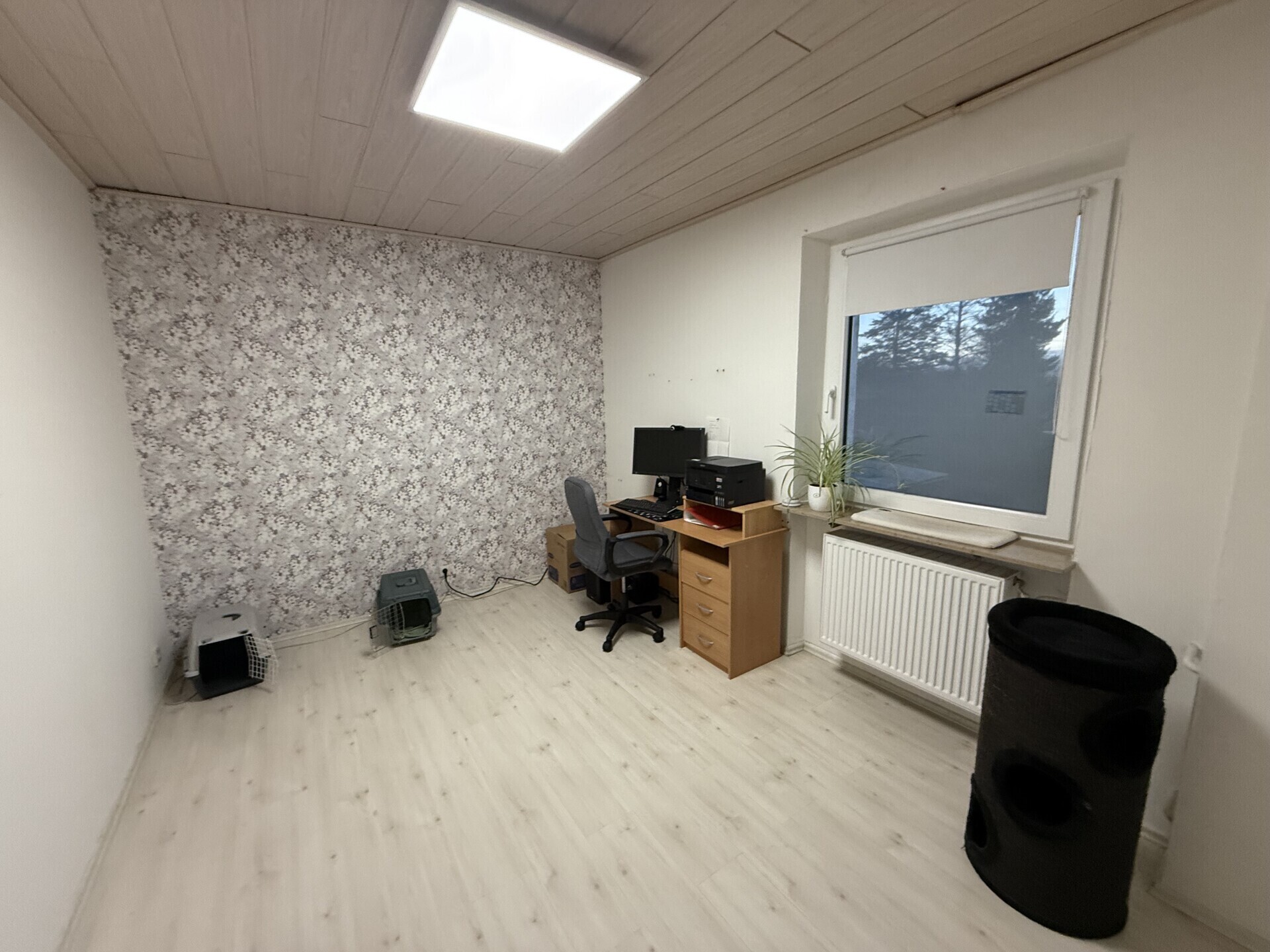 Gäste-/Arbeitszimmer