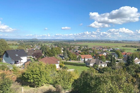 Fernblick
