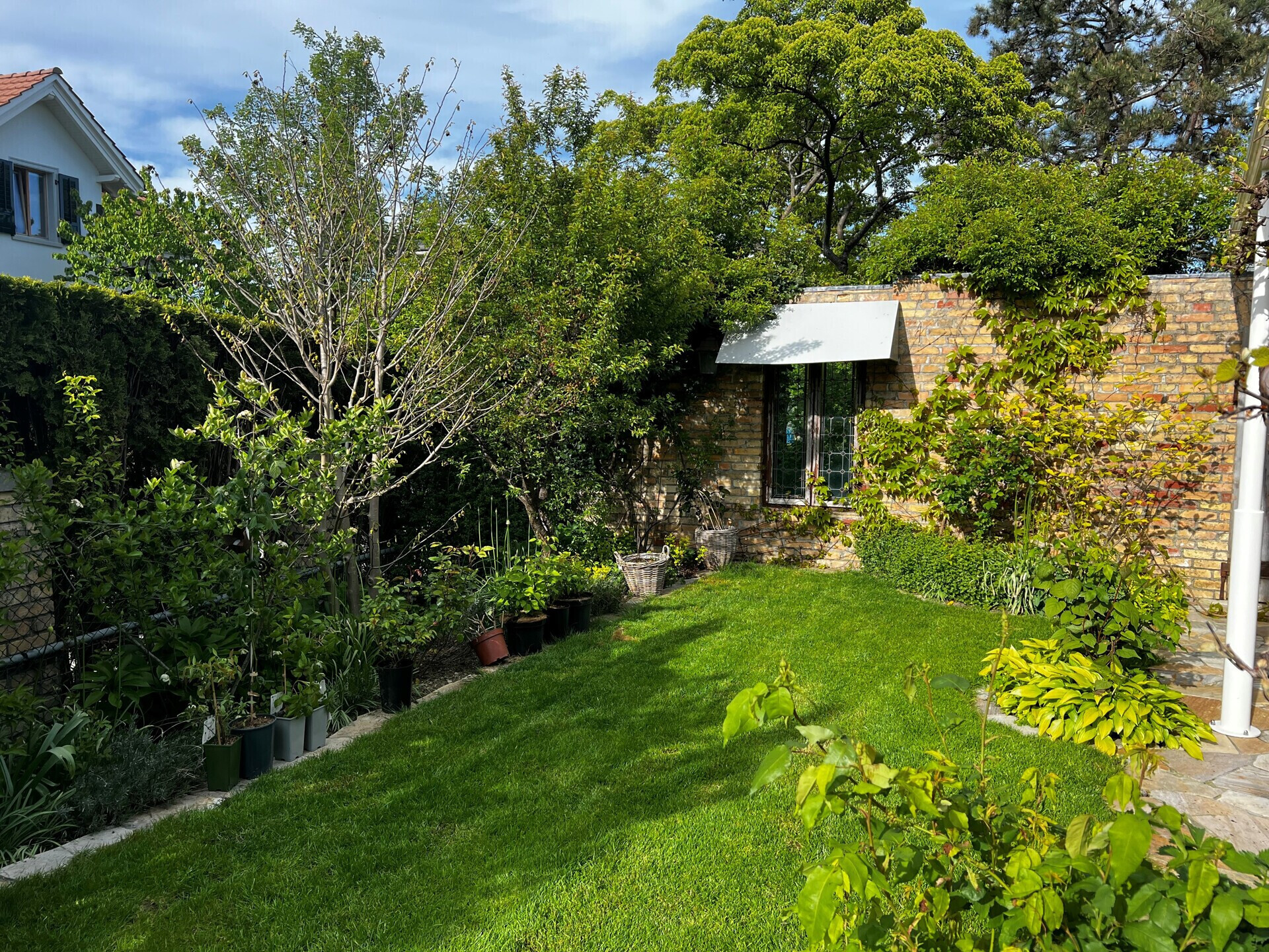 Gartenimpressionen