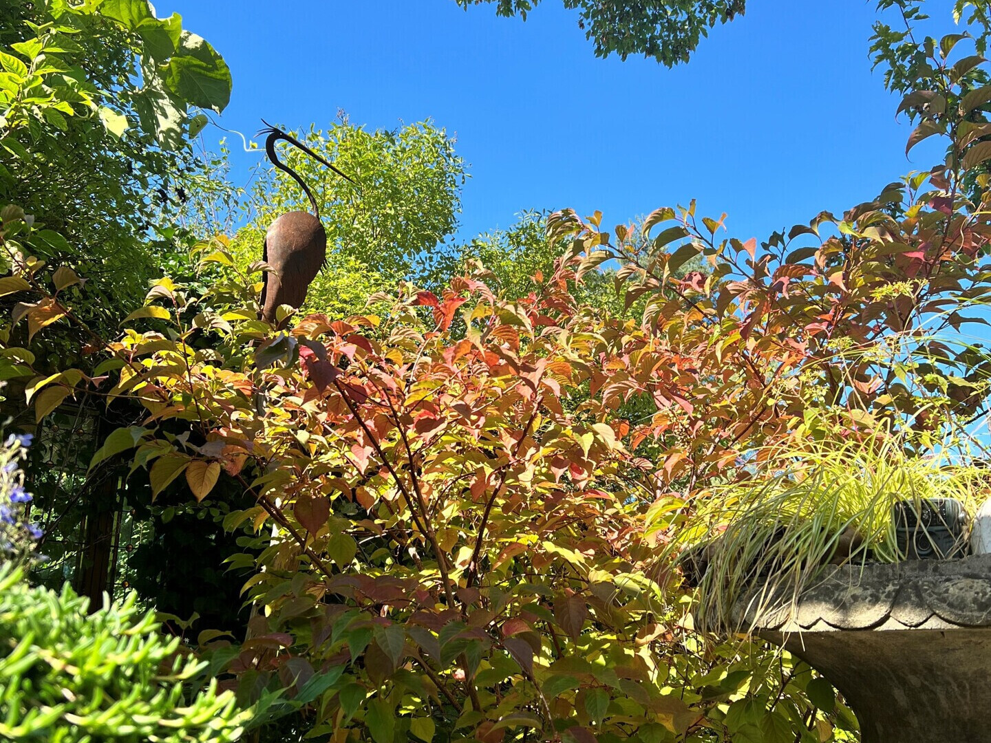 Gartenimpressionen