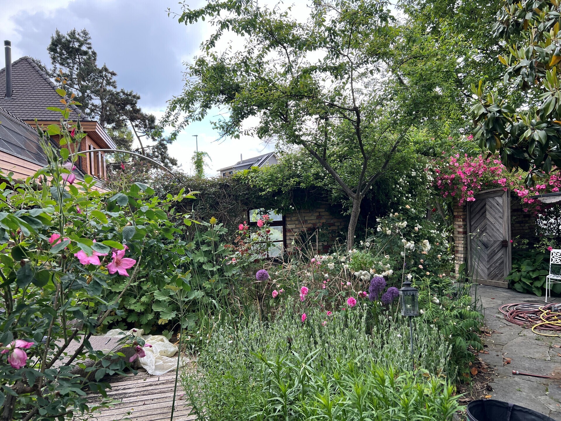 Gartenimpressionen