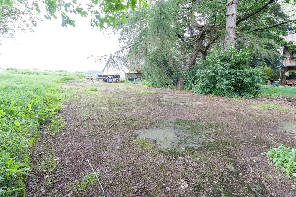 Fundamentplatte des alten Stalls