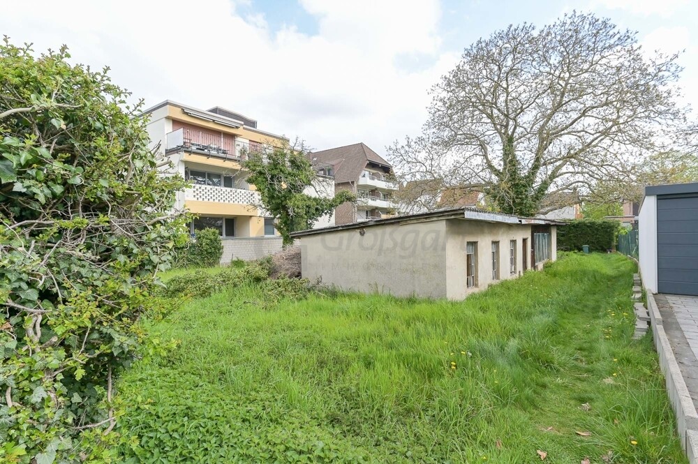 Schuppenaufbau