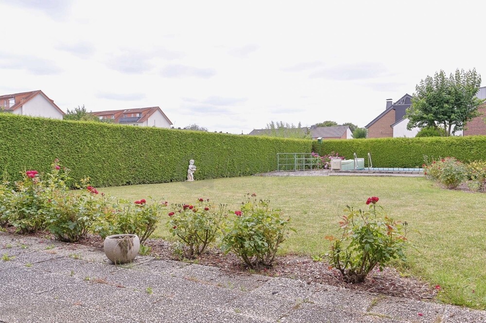 Blick von Terrasse in Garten