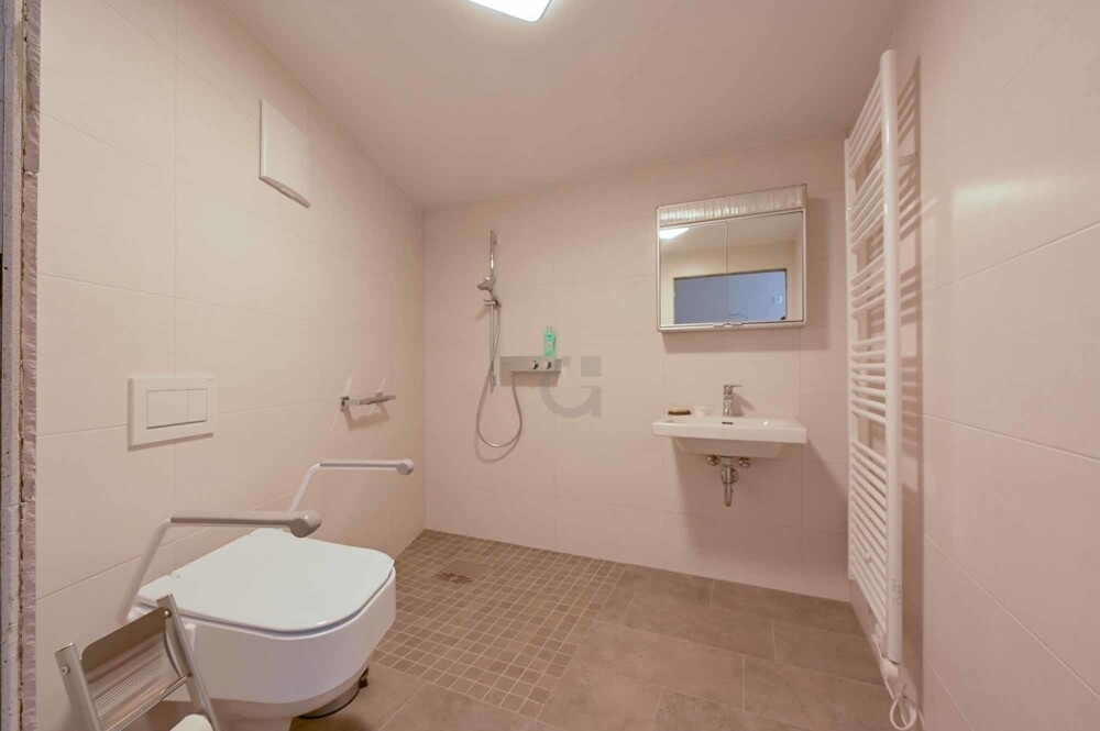 Badezimmer mittlerer Altbau EG