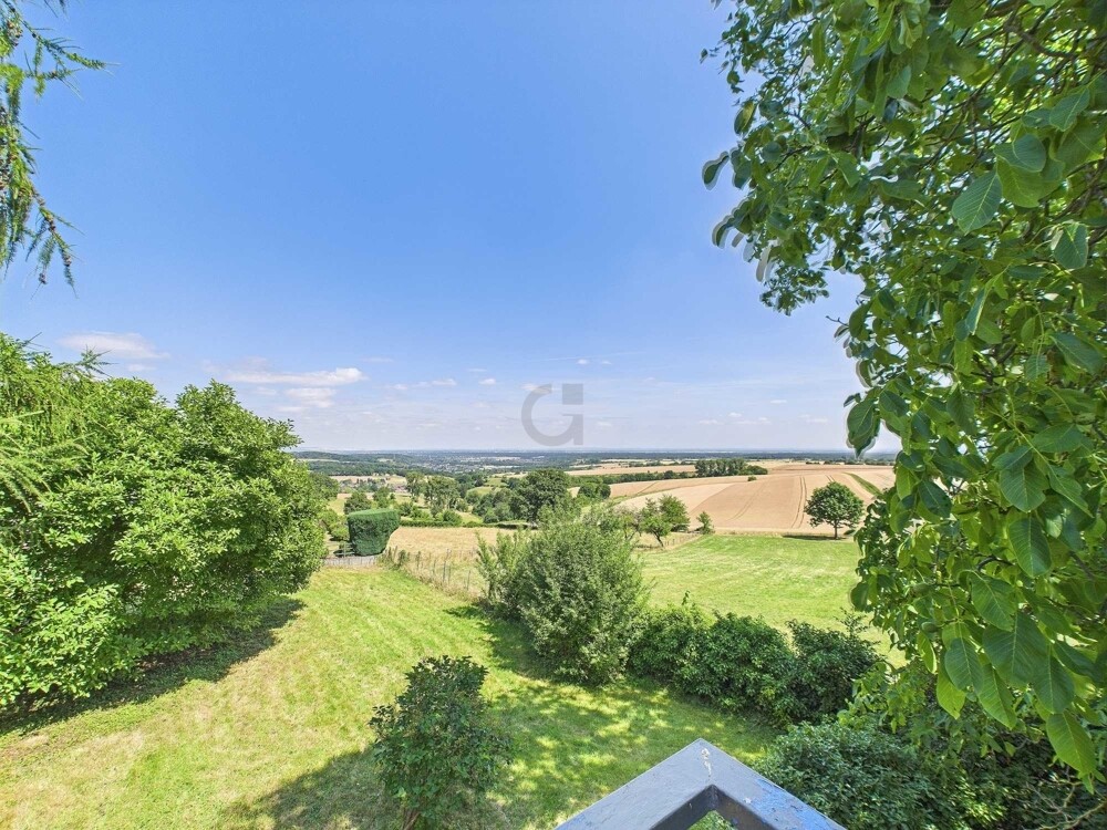 Ausblick