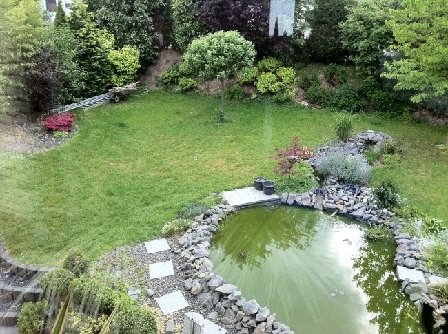 Leider schon verkauft