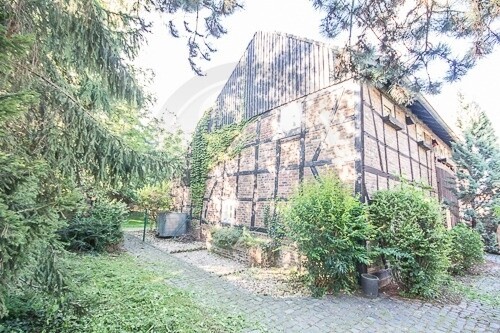 seitlicher Blick aus Garten